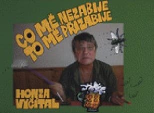 Obálka knihy Co mě nezabije, to mě přizabije